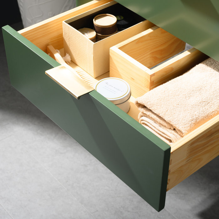 Everly Quinn Draven 24'' Wall Mounted Single Bathroom Vanity with